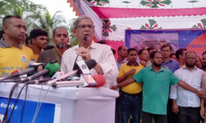 সত্যিকারের গণতন্ত্র প্রতিষ্ঠা করতে হবে: ফখরুল