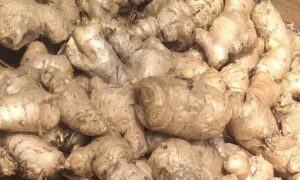 আদার ব্যাপারীর জাহাজের খবরঃ দামে অস্বস্তি