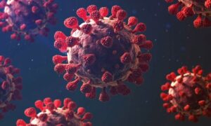 করোনার প্রকোপ বৃদ্ধি ৫শতাংশ