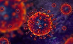 করোনা সনাক্ত আরো ২৮ জনের