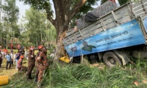 কামারপুকুরে ট্রাক দুর্ঘটনায় হেল্পার নিহত