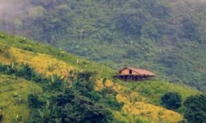 বান্দরবানে কুকি-চিন সন্ত্রাসীদের গুলিতে দুই সেনাবাহিনী নিহতঃ