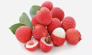 দিনে কয়টি লিচু খাওয়া উচিত