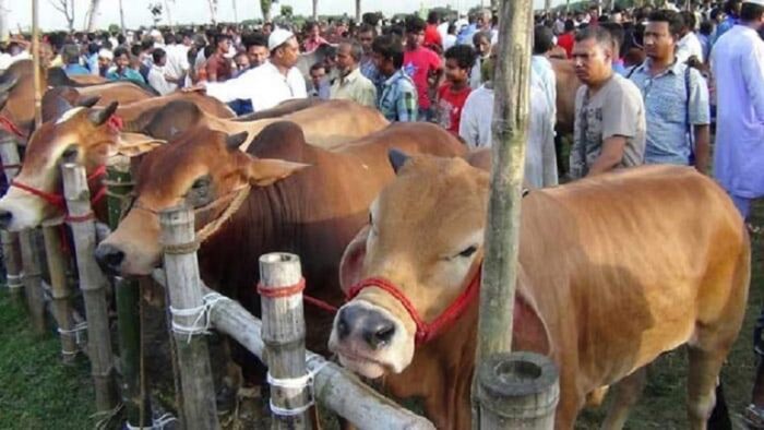 খুলনায় জমে উঠেছে কোরবানির পশুর হাট