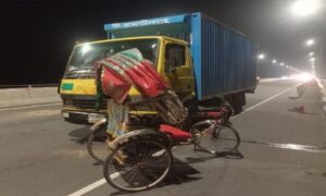 পদ্মা সেতুতে উঠে লাফঃ ইজিবাইক চালক নিখোঁজ