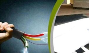 নড়াইলে বিদ্যুৎস্পৃষ্ট হয়ে গৃহবধূর মৃত্যু