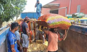 হিলি স্থলবন্দর দিয়ে কাঁচামরিচ আমদানি শুরু