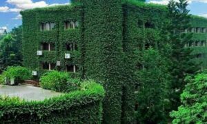 পরিবেশবান্ধবঃ আরডিআরএস