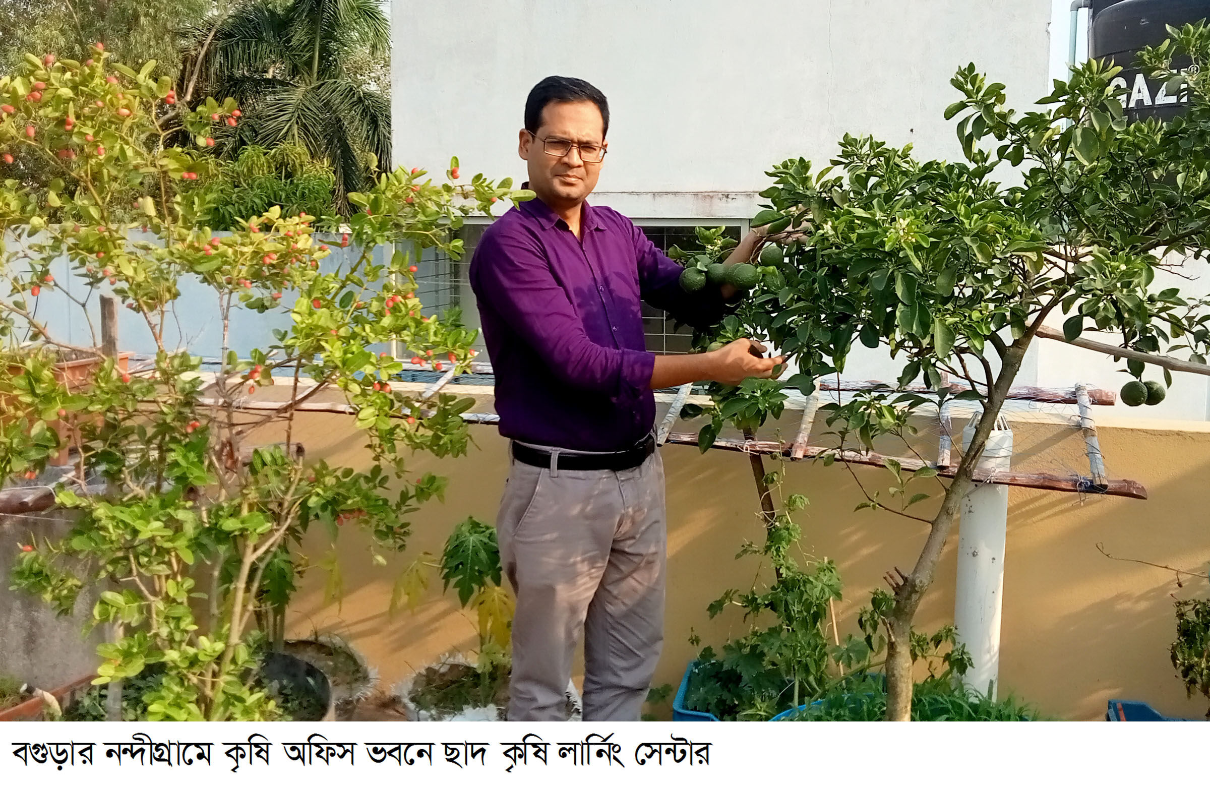 গ্রামের কৃষিতে বিদেশী ফলঃ পাঁচ উদ্ভাবনী সাফল্য