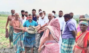 খুলনার দাকোপ উপজেলায় রাস্তার কাজ উদ্বোধন