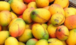 যে ৫টি সমস্যা থাকলে ভুলেও আম খাবেন না