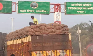 সাতক্ষীরার ভোমরা স্থলবন্দর দিয়ে পেঁয়াজ আমদানি শুরু হলো
