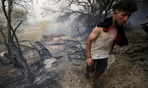 তাপদাহের জেরে দাবানলে আলজেরিয়ায় অন্তত ১৫ জনের মৃত্যু