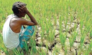 অনাবৃষ্টিতে বদলাচ্ছে চাষবাষের চক্র, ফসলে ভয়াবহ প্রভাব