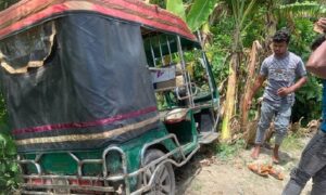 খুলনা-সাতক্ষীরা মহাসড়কে সড়ক দুর্ঘটনা: আহত-৪