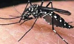 ডেঙ্গুতে ২৪ ঘন্টায় ১ জনের মৃত্যু, আক্রান্ত ১৮২