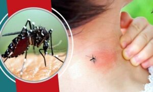 ২৪ ঘন্টায় ডেঙ্গু আক্রান্ত ৬৭৮ জন, হাসপাতালে ভর্তি