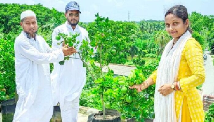 ডুমুরিয়ায় ছাদ বাগান করে আলোড়ন সৃষ্টি করলেন সাংবাদিক মাহতাব