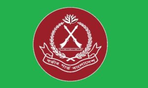 ভারতের ২৮টি গরু বাংলাদেশ বিজিবি’র হাতে আটক