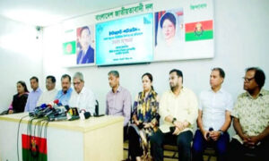 ইন্টারনেট শাটডাউনের ঘটনা নাগরিক অধিকারের ভয়ঙ্কর লঙ্ঘন: মির্জা ফখরুল