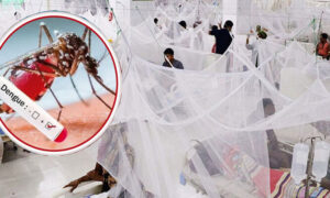 ডেঙ্গুতে ২৪ ঘন্টায় মৃত্যু-১৪, আক্রান্ত-২৭৫১