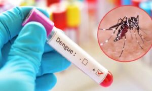 আগস্ট যে কারণে ডেঙ্গুর ‘পিক সিজন’ হতে যাচ্ছে