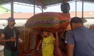 হিলি স্থলবন্দর দিয়ে কাঁচামরিচ আমদানিতে কমেছে দাম