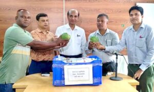 ইংল্যান্ডে যাচ্ছে দিনাজপুরের আম