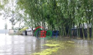 তিস্তার পানি বিপদ সীমার ৪০ সেন্টিমিটার উপরে: পানি বন্দী লক্ষাধিক মানুষ