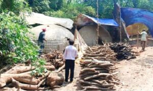 টাঙ্গাইলে ২৯টি কয়লা তৈরির চুল্লী গুড়িয়ে দিল ভ্রাম্যমাণ আদালত