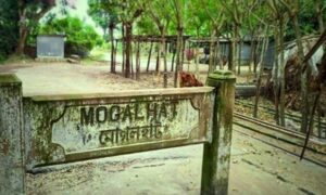 মোগলহাটের ইতিহাস