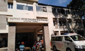 নড়াইলে ভাইয়ের হাতে ভাই খুন