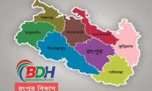 রংপুর বিভাগে বাড়ছে ডেঙ্গুর প্রকোপ: সচেতনতামূলক প্রচারাভিযান অব্যাহত