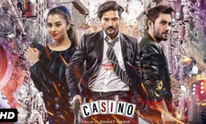 ক্যাসিনো নিয়ে যা বললেন নিরব