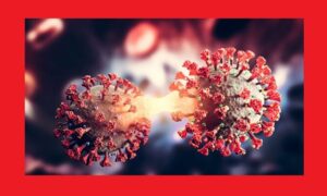 দেশে ২৪ ঘণ্টায় আরও ৯২ জনের শরীরে করোনা ভাইরাস শনাক্ত