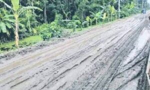 দাকোপে রাস্তার বেহাল দশা