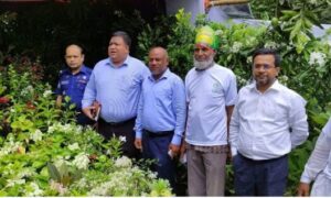 ফেনীতে শুরু হয়েছে ৭ দিনব্যাপী বৃক্ষমেলা