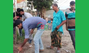 ফুলতলায় বৃক্ষরোপণ কর্মসূচি পালন।
