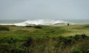 ওবামার ব্যক্তিগত শেফের মরদেহ উদ্ধার