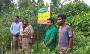 জয়পুরহাটে পারিবারিক পুষ্টি বাগান করে লাভবান হচ্ছেন স্থানীয়রা