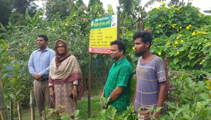 জয়পুরহাটে পারিবারিক পুষ্টি বাগান করে লাভবান হচ্ছেন স্থানীয়রা