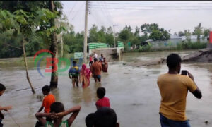 কালীগঞ্জে ৩ যুগের স্বপ্নের জোড়া সেতুতে ভাঙ্গন: কয়েক হাজার মানুষের ভোগান্তি