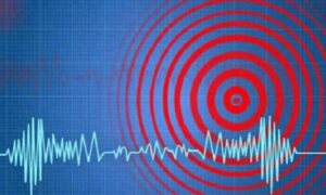 ইন্দোনেশিয়ায় শক্তিশালী ভূমিকম্প, কেঁপে উঠে বালি ও অন্যান্য দ্বীপপুঞ্জ