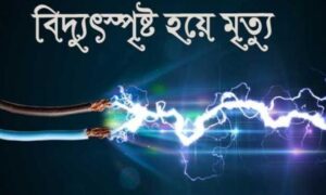 রূপসায় বিদ্যুৎস্পৃষ্টে দুই ভাইয়ের মৃত্যু