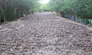 দাকোপে রাস্তার বেহাল দশা: চরম ভোগান্তিতে এলাকাবাসী