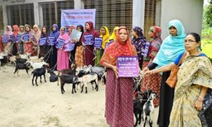 দিনাজপুরে দুস্থ ও অসহায় নারীদের মাঝে বিনামূল্যে ছাগল বিতরণ