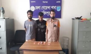 ফরিদপুরে ইয়াবাসহ আটক- ২