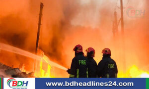 লালমনিরহাটে আগুন দিয়ে ভিমরুল তাড়াতে গিয়ে বিপাকে শ্রমিকরা