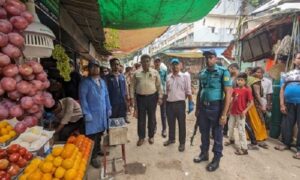 খুলনায় ফলের বাজারে বিএসটিআই’র অভিযান