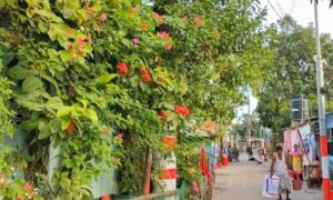 ময়মনসিংহ নগরীর সবুজ কলোনি, দৃষ্টিনান্দনিকতায় পাল্টে গেছে এর চিরচেনা চেহারা